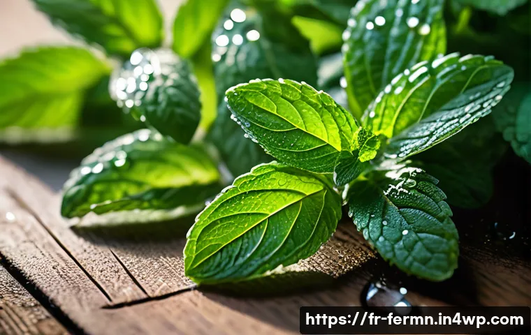 자가 발효로 만든 민트 소스 레시피 - A close-up of fresh, vibrant green mint leaves early in the morning light, dewy with tiny water drop...