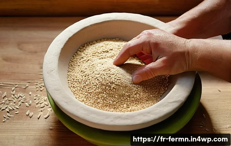 5 astuces infaillibles pour réussir votre pain maison grâce à la fermentation naturelle 3 자가 발효로 만들어 보는 쉬운 빵 관련 이미지 1